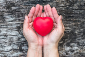 What is Holistic  Cardiovascular Health? Blog Article By Doctor Kathy Veon