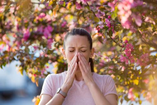 How Does Allergies and Immune System Support Work?