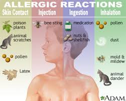 NAET Allergy Elimination